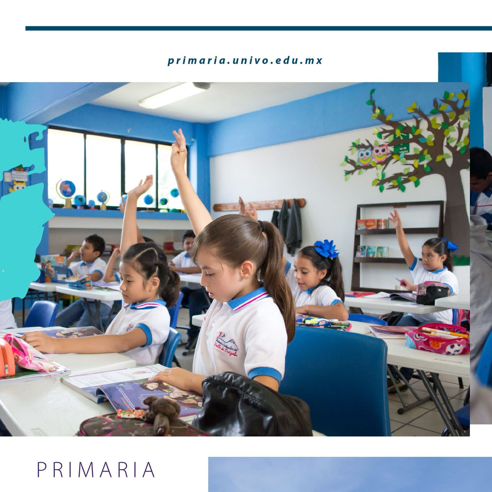 Fomento a la lectura